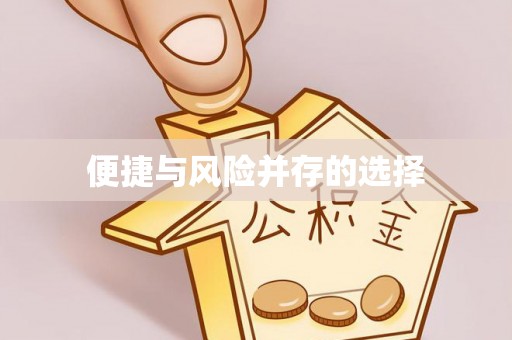 南江便捷与风险并存的选择